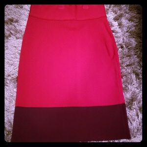 Express Small Fitted Pencil Skirt